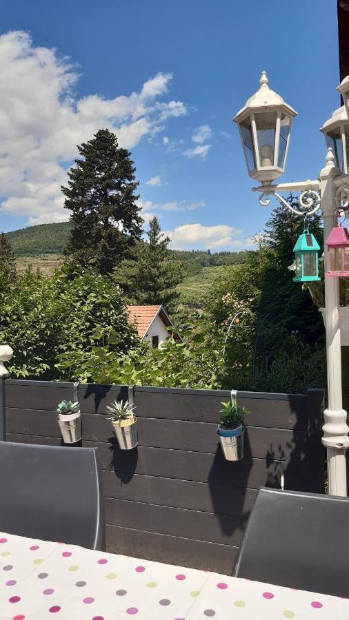 Ravissant Studio Dans Un Cadre Agreable Soultz-Haut-Rhin Kültér fotó