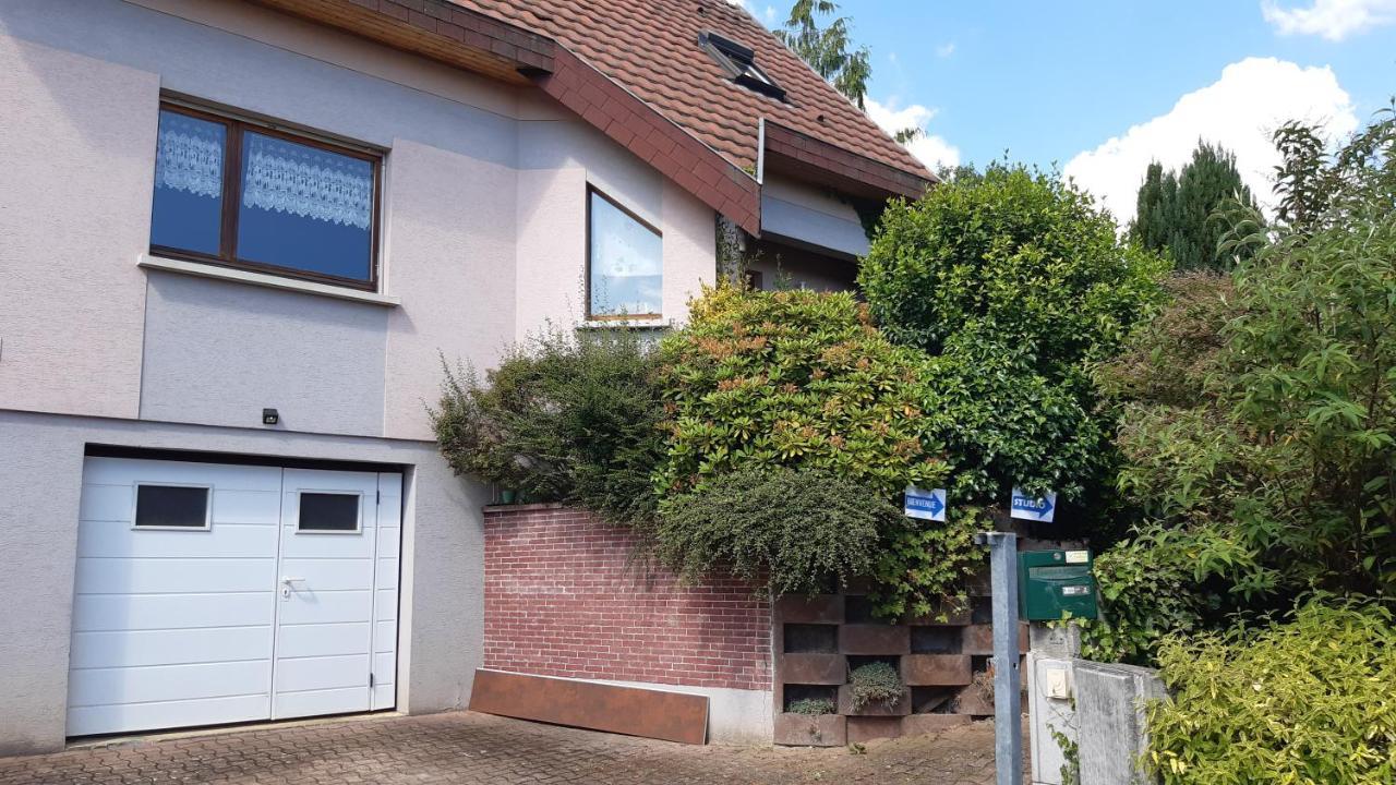 Ravissant Studio Dans Un Cadre Agreable Soultz-Haut-Rhin Kültér fotó